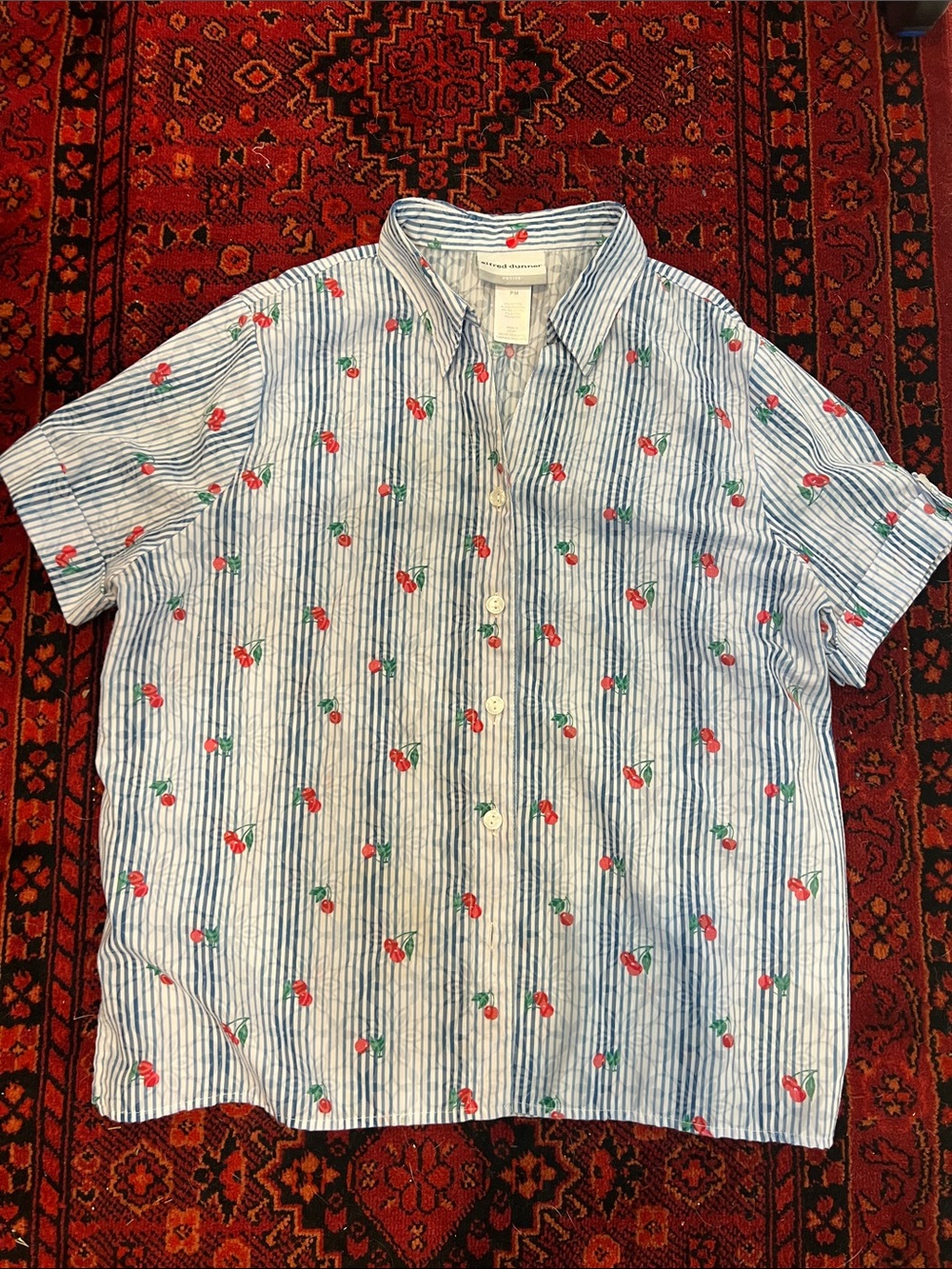 Blue Stripe Short-Sleeve Button-Up Shirt with Cherry Print